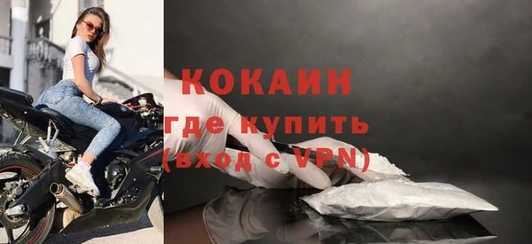 шишки Козельск