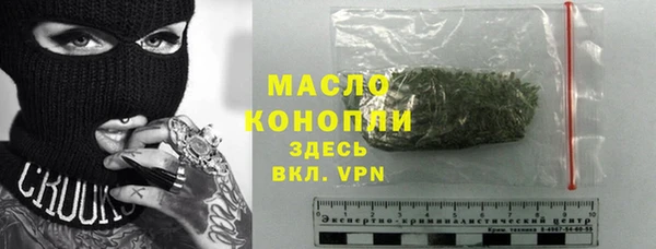 хмурый Аркадак