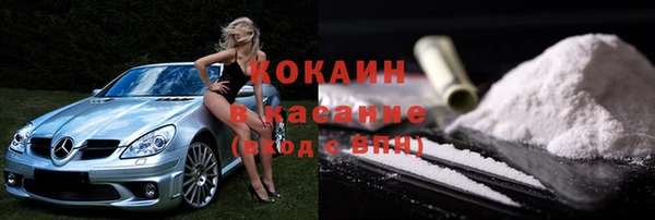 хмурый Аркадак