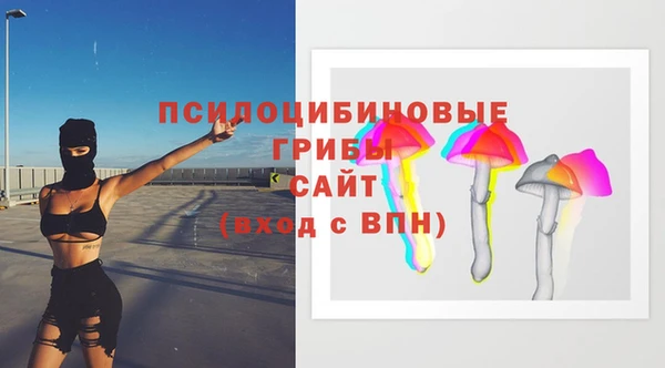 хмурый Аркадак