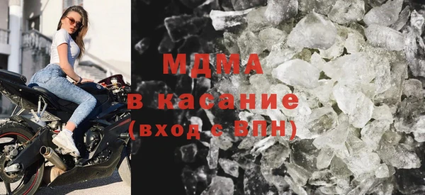 хмурый Аркадак